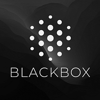 BlackBox AI